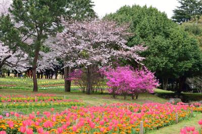 別府公園