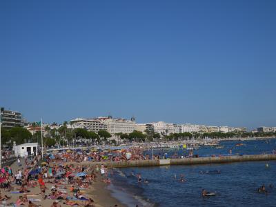 南フランスの旅～カンヌ