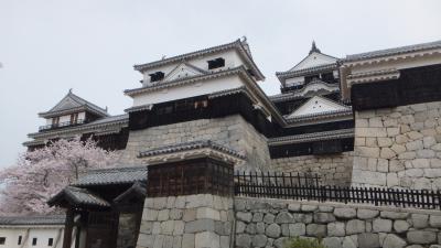 松山城と道後温泉の桜が満開！