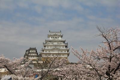 2015　白鷺城と桜