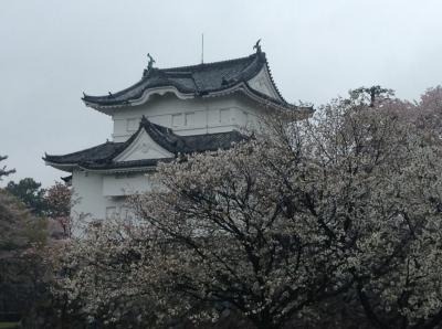 2015年4月 名古屋城