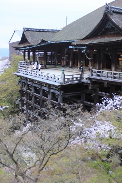 ■ 春爛漫　京都の旅　④　「清水寺」