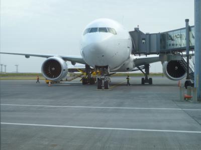 アイスランド旅行【8,9日目】