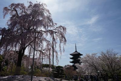 春の京都　2015
