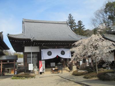 電車に揺られ花見の旅・・関市へ