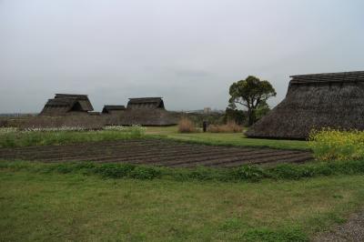 今を息づく弥生時代