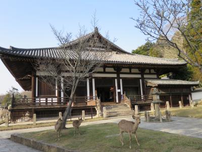 2015 早春！寧楽逍遙の旅＜第1日＞新薬師寺→春日大社→東大寺法華堂