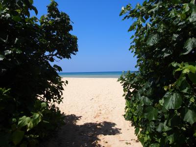 うりずんの石垣島ドライブ