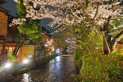 祇園白川宵桜ライトアップ＆円山公園しだれ桜を楽しんで・・・