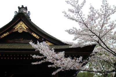 2015年4月♪春の京都♪二日目(東福寺・伏見稲荷）