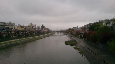 日帰りで京都の桜を見に行く2015