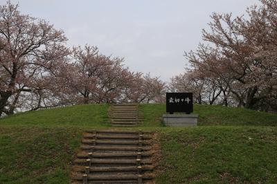 旅するイルカ♪　和歌山県　桃源郷へ