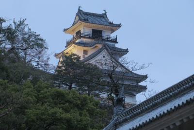 2015春、四国周遊(7/26)：3月29日(7)：高知、高知城の桜、天守閣、雪洞、花見の宴