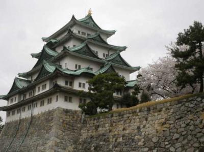 春爛漫の名古屋城のお花見