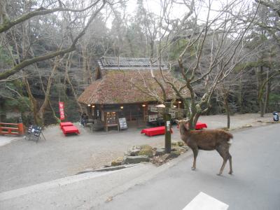 2014冬旅行 4日目/奈良