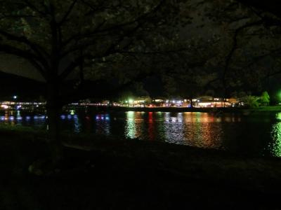 春の京都　ー６　中の島公園夜の散歩