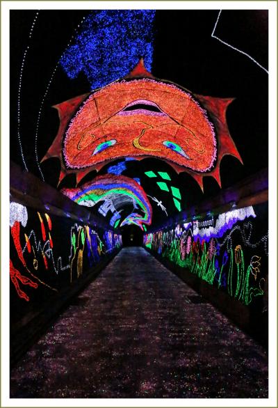 Solitary Journey ［1561］ とことこトレインに乗って…光る蛍光石で装飾された幻想的な世界へ♪‘きらら夢トンネル’＜錦川鉄道＞山口県錦町