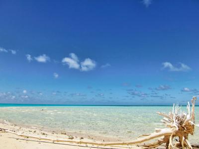 ダイビングしないけど 楽園パラオ ⑤