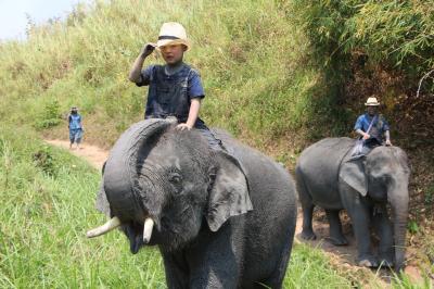 父ちゃんと息子の男旅 ④ - 3　タイエレファントホーム