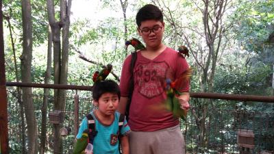 41:シンガポール_4