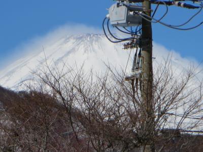 豪雪のため箱根に軟禁（笑）　１