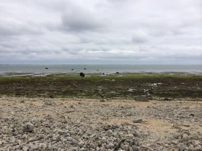 沖縄、石垣ひとり旅