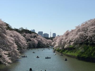 春爛漫の千鳥ヶ淵２０１５