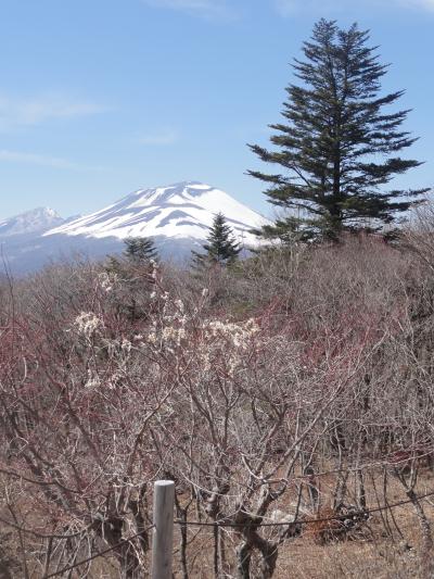 軽井沢散歩・碓氷峠・県境・そしてハイキング