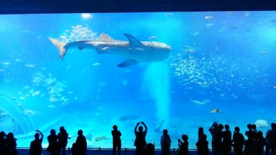 夫婦旅行】沖縄１st☆１日目～本島