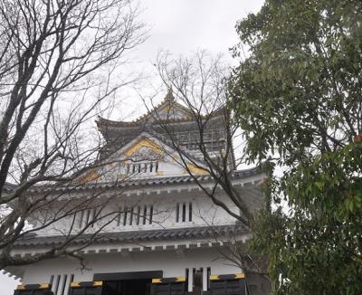 満開の桜　ＩＮ　岐阜城　　パート　ー　４　　　