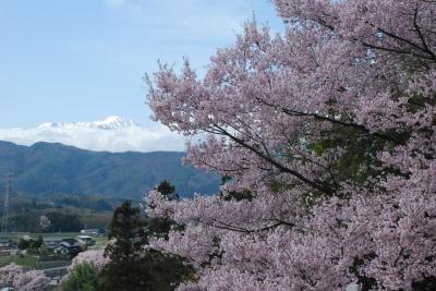 アルプスと桜が眺められる信州の高遠（長野）