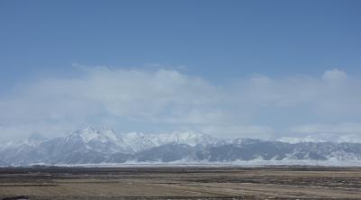パルナシウス・アッコ・ホロハオアエ（中国甘粛省祁連山、オス） パルナシウス・アッコ・ホロハオアエ（中国甘粛省祁連山、オス