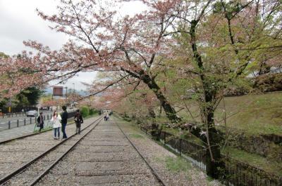 2015 桜の京都5日間・5日目・インクライン、哲学の道、霊鑑寺、法然院