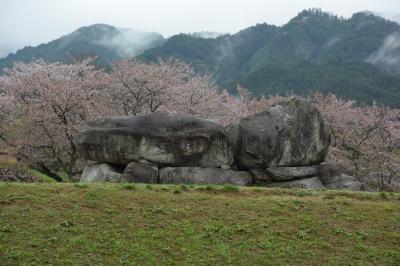 2015桜 ３ ：吉野山と飛鳥（明日香村）、その２ 飛鳥の里