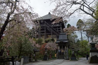 　名残桜と新緑の笠森観音