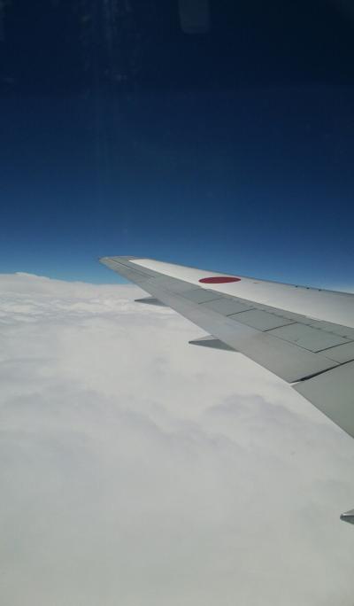 夫婦旅行】沖縄１st☆３日目～本島