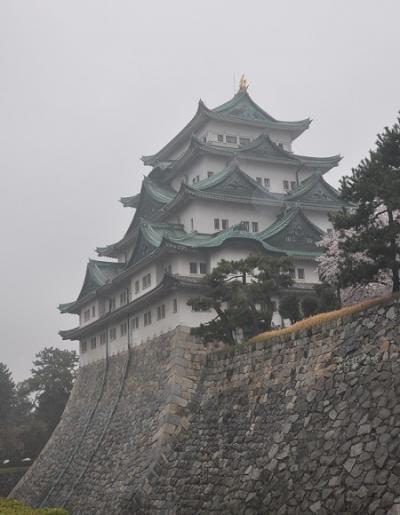 満開の桜　　ＩＮ　名古屋城　　　　パートー４