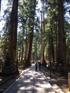 高野山で神々しさを