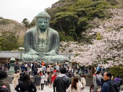 遠方よりの友を迎え、鎌倉を歩く