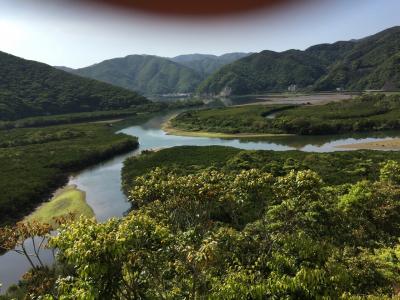 マングローブ原生林を初めてカヌーで探索