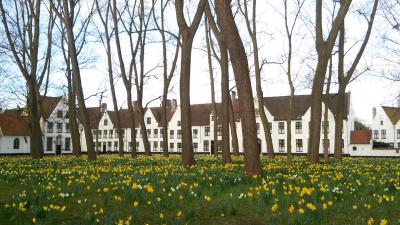 春色オランダ・ベルギーベストハイライト7日間　③