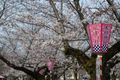 九州サクラ紀行・その１（長崎県）