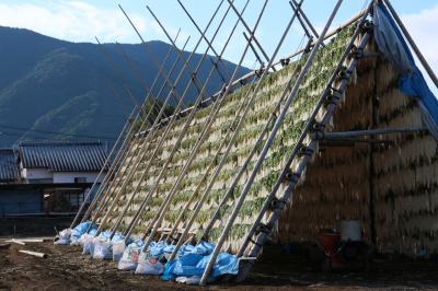 神話の国の旅　３．雨が降るから虹が出る（終）