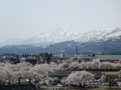 上越妙高(北陸新幹線)高田公園百万人観桜会