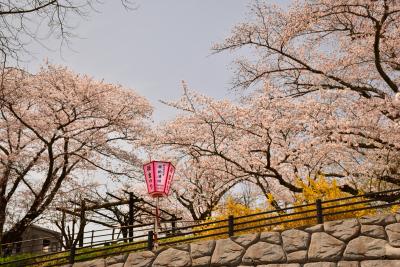  [花見] 思いつきで千本桜を見に（1） - 柴田町船岡城址公園 [Best of 休日] 