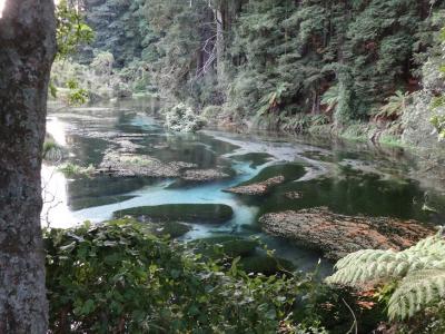 土ボタルのささやき　大地の息吹たつRotorua