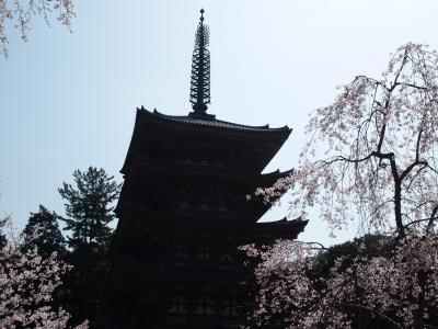 春は京都のさくら　　　2015年　　　NO4　≪醍醐の花見≫   西大門から五重塔