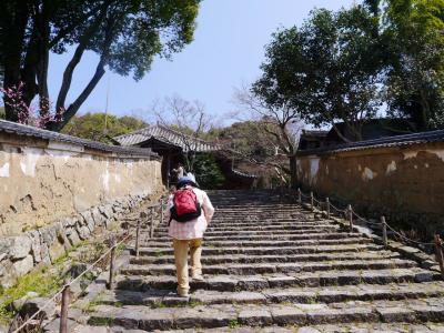 青春18キップで奈良へ　　北・山の辺の道の北コースを歩く　　ＪＲ帯解駅　～　ならまちへ