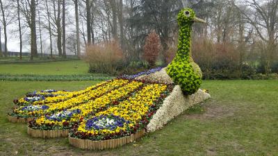 春色オランダ・ベルギーベストハイライト7日間　④