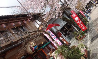 華厳寺の桜の参道